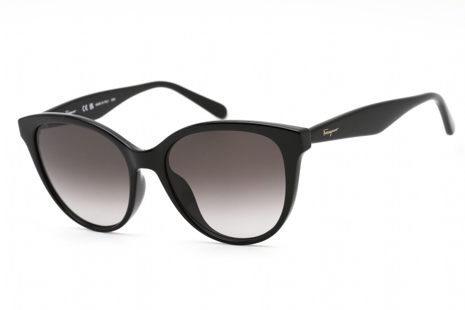 Ferragamo Women's 54mm Black Sunglasses SF1073S-001