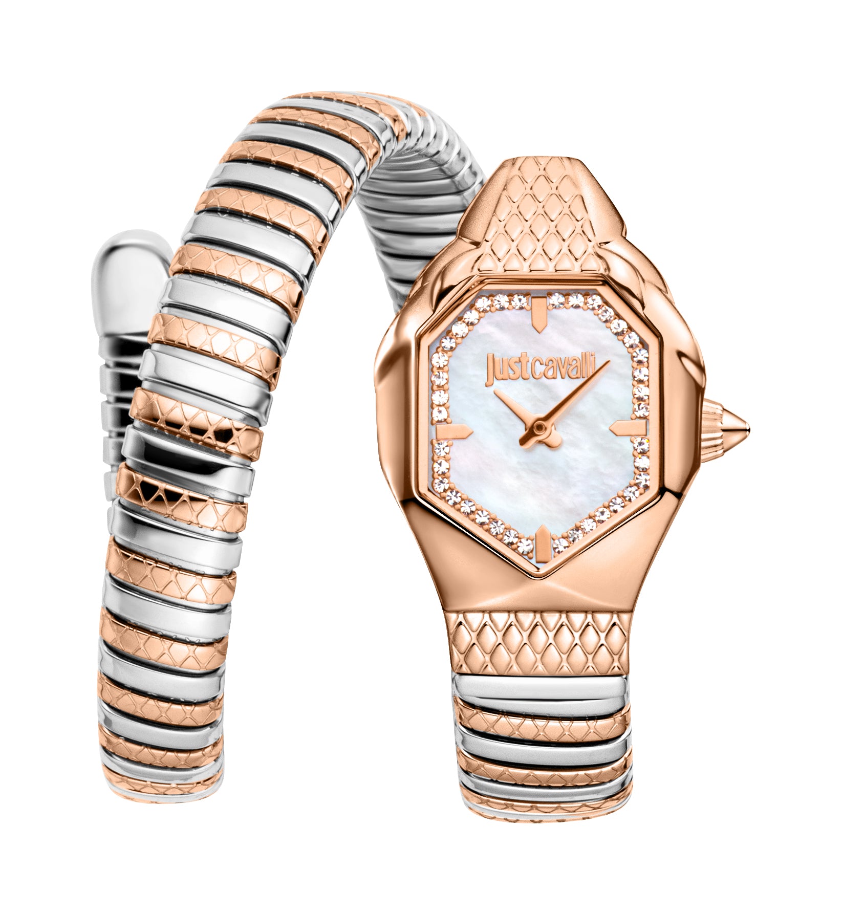 Just Cavalli Women's Snake 22mm Quartz Watch JC1L369M0075