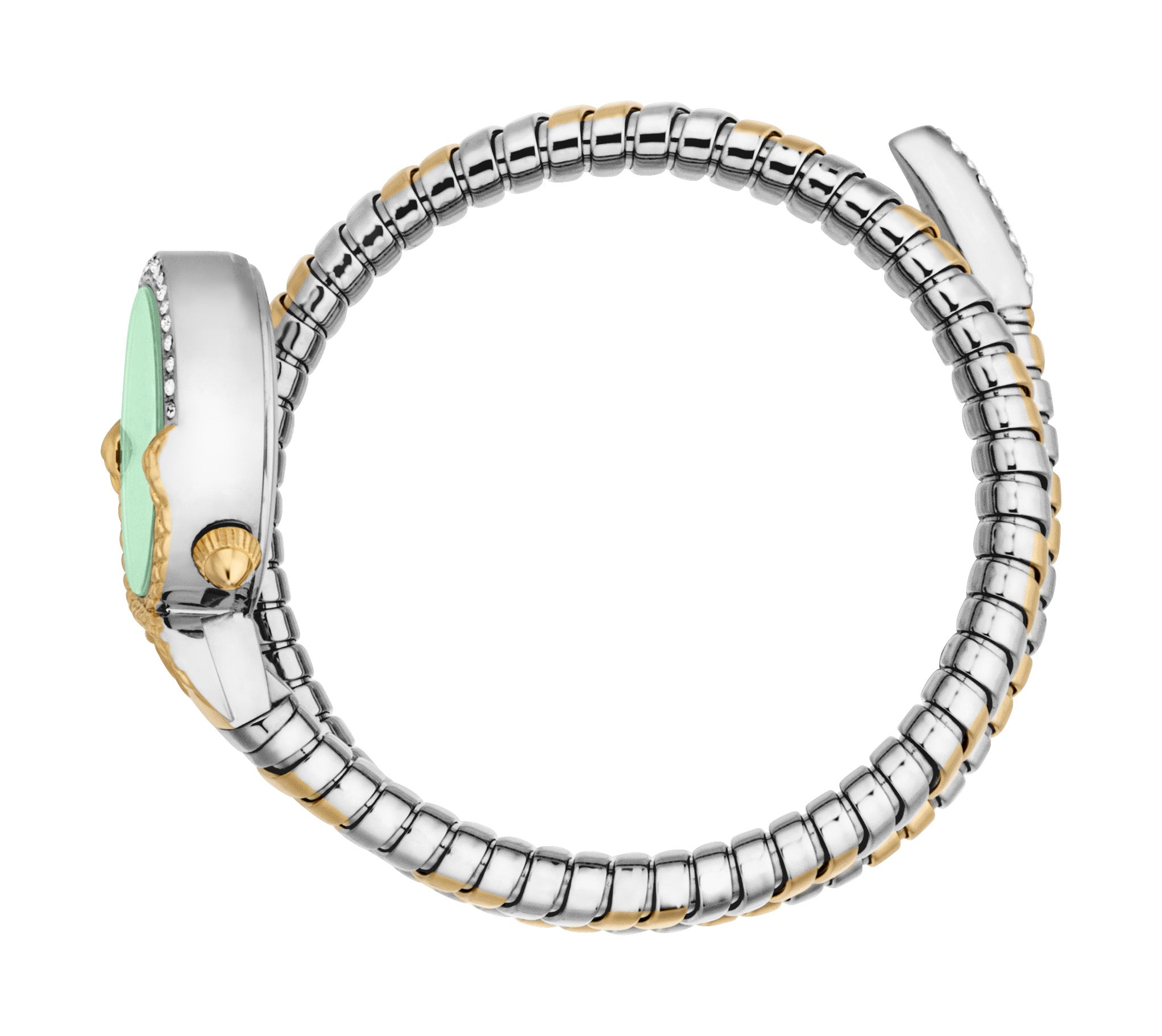 Just Cavalli Women's Snake 22mm Quartz Watch JC1L350M0065