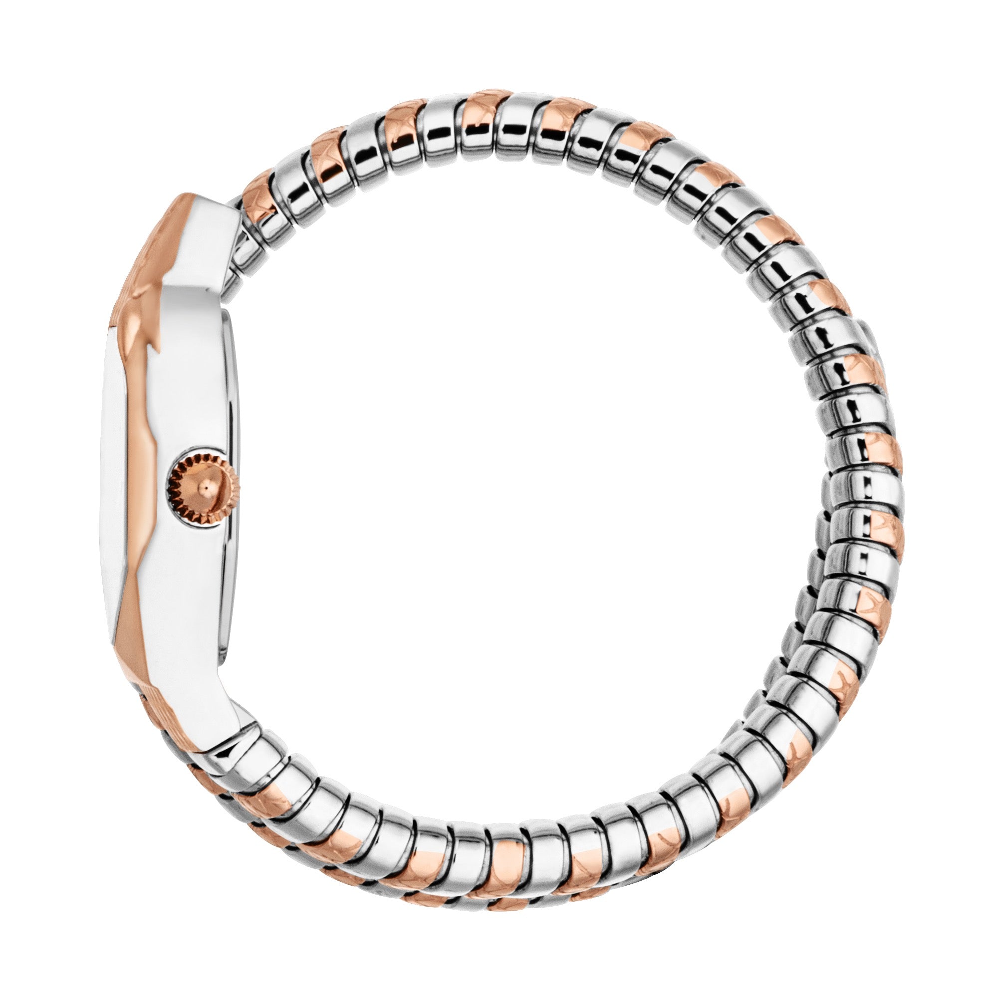 Just Cavalli Women's Snake 22mm Quartz Watch JC1L369M0075