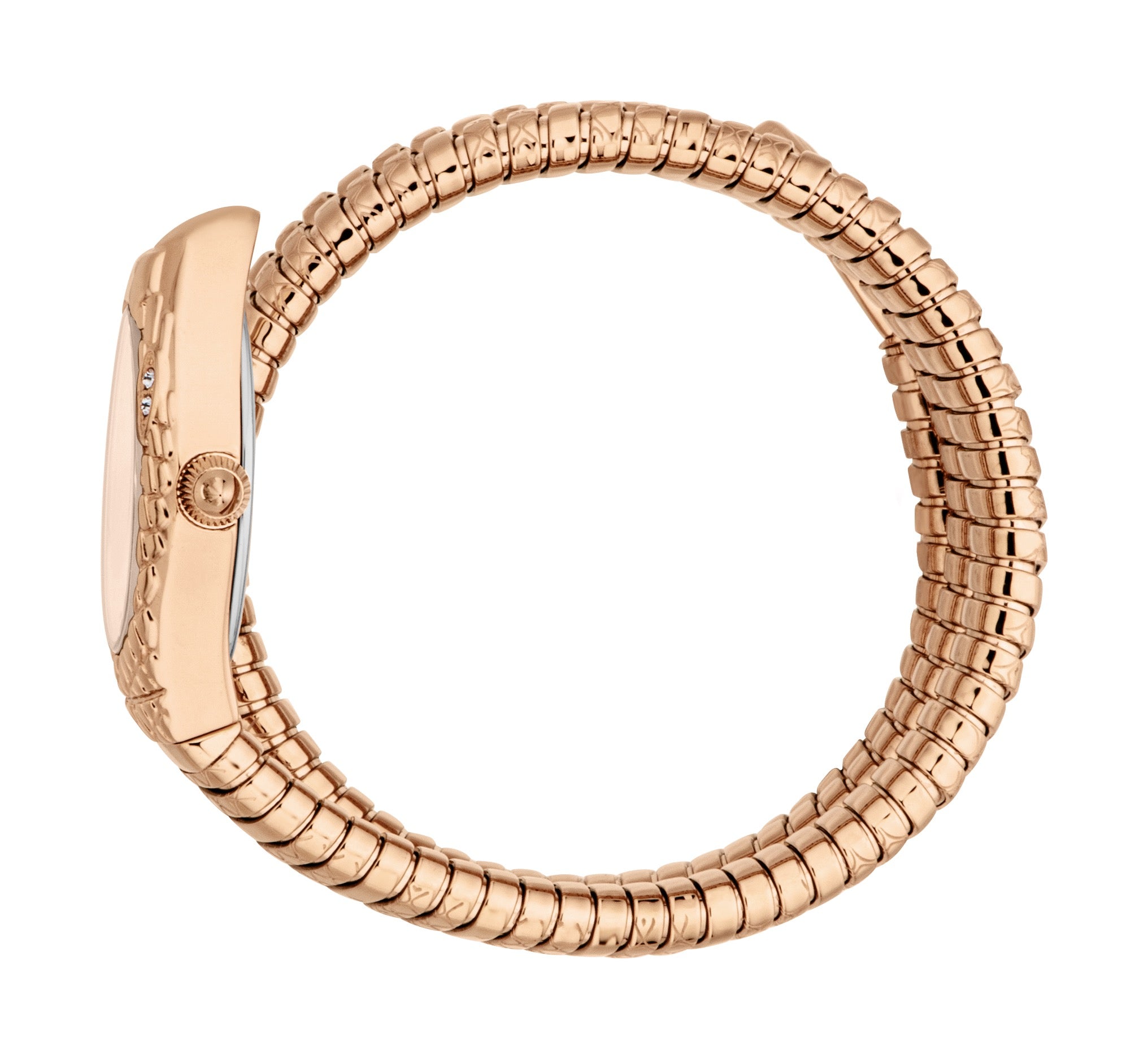 Just Cavalli Women's Snake 20mm Quartz Watch JC1L374M0045