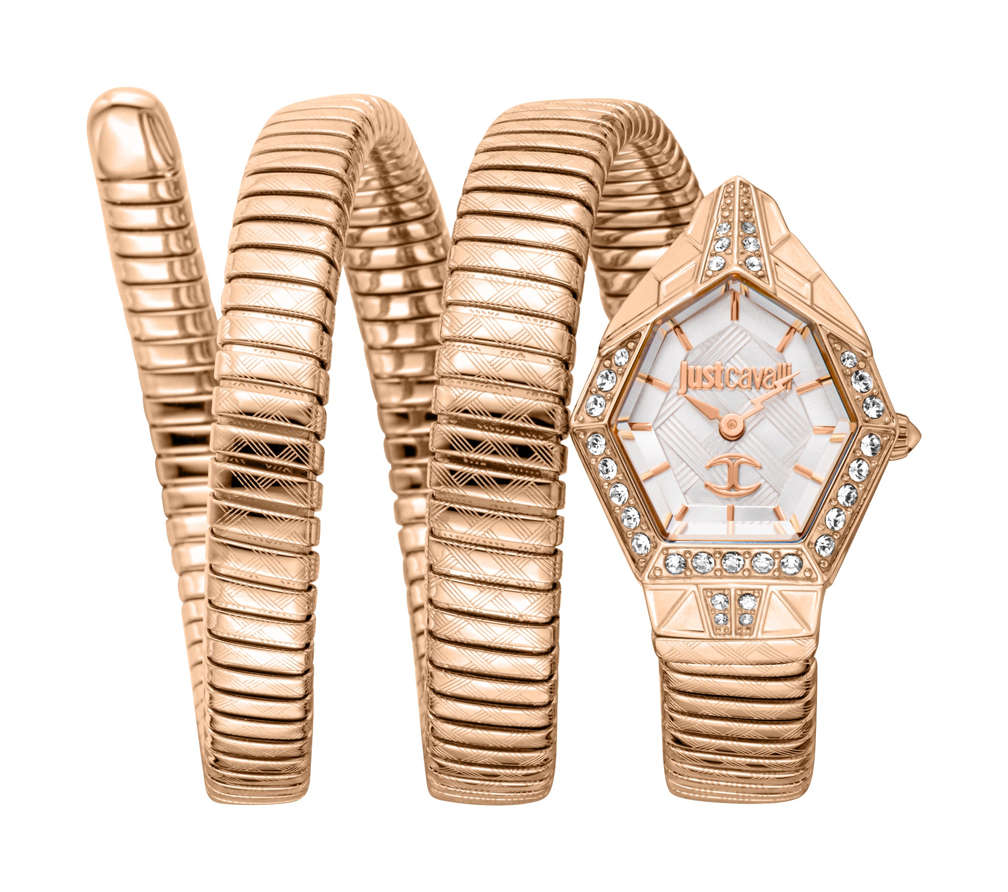 Just Cavalli Women's Mesmerizing 23mm Quartz Watch JC1L304M0085