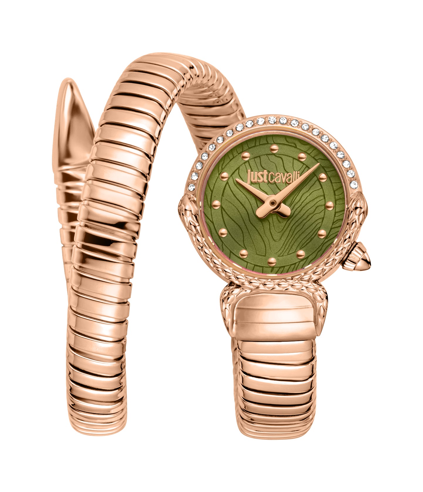 Just Cavalli Women's Radiosa 22mm Quartz Watch JC1L350M0045