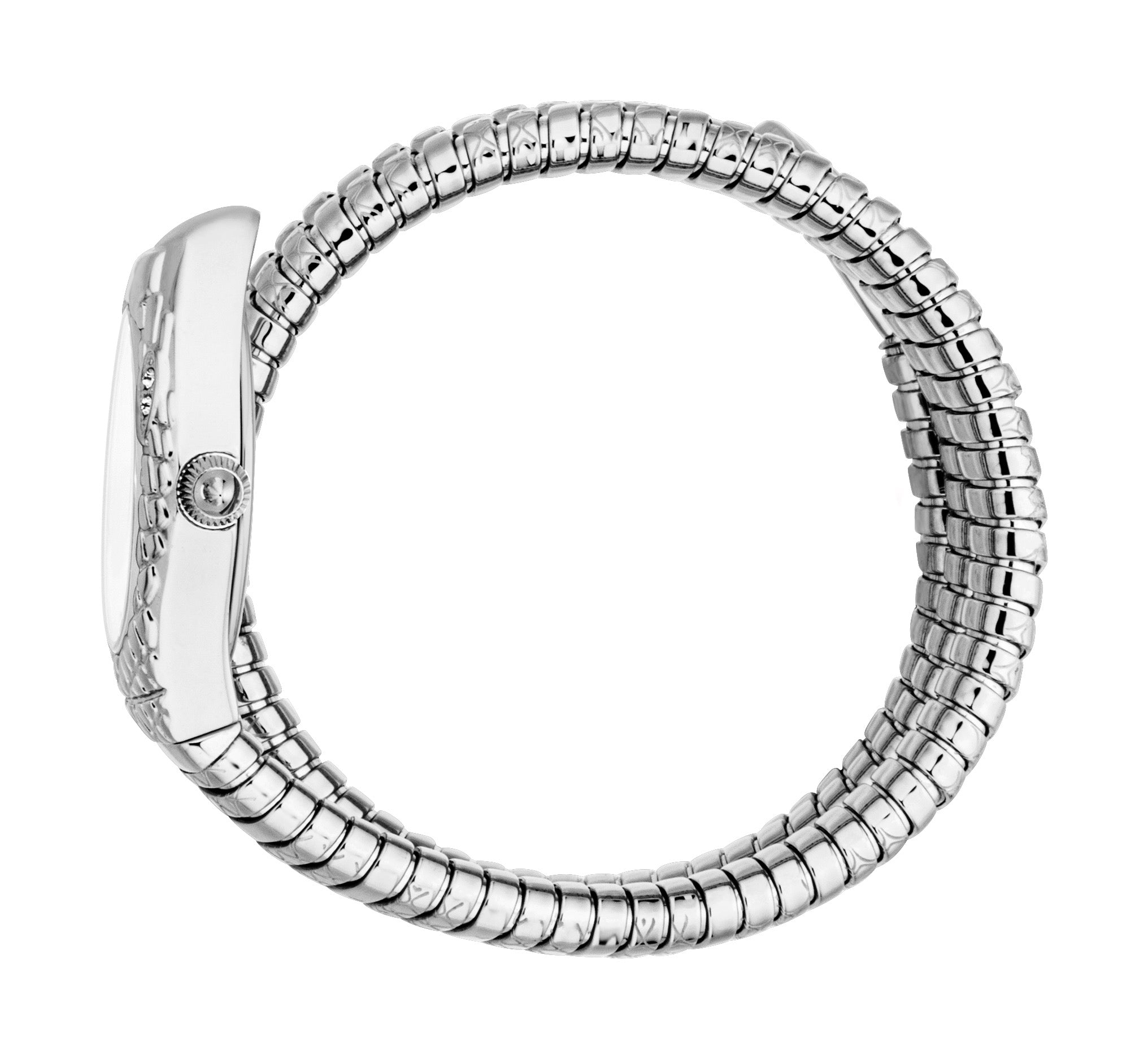 Just Cavalli Women's Aurela 20mm Silver Quartz Watch JC1L374M0015