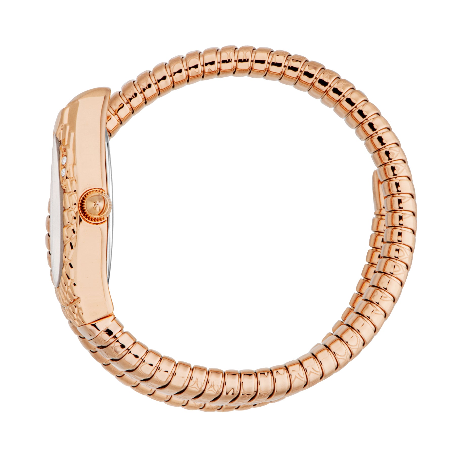 Just Cavalli Women's Snake 20mm Quartz Watch JC1L373M1045