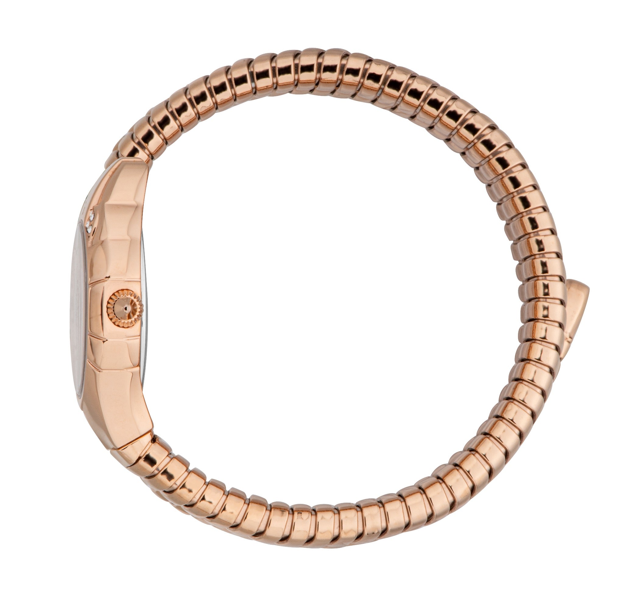Just Cavalli Women's Snake 22.5mm Quartz Watch JC1L393M0035