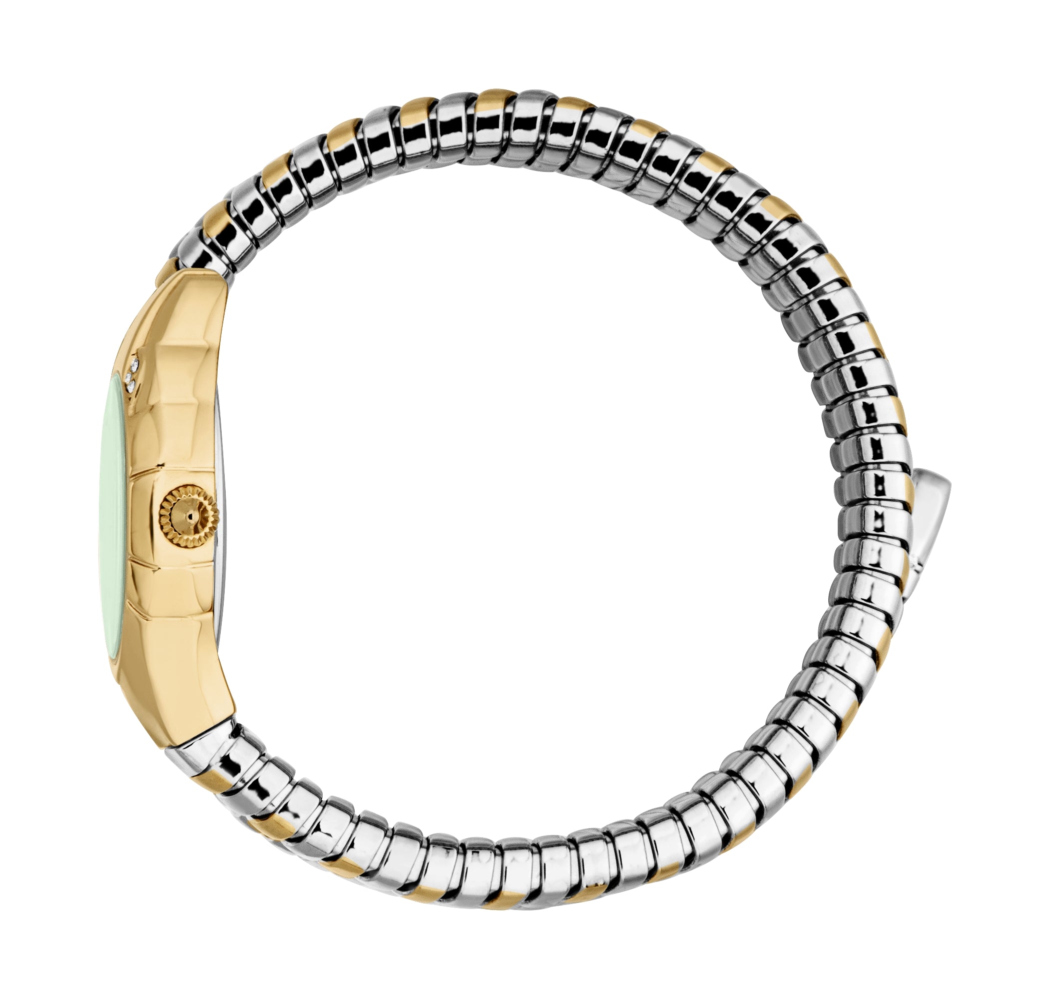Just Cavalli Women's Snake 22.5mm Quartz Watch JC1L393M0045