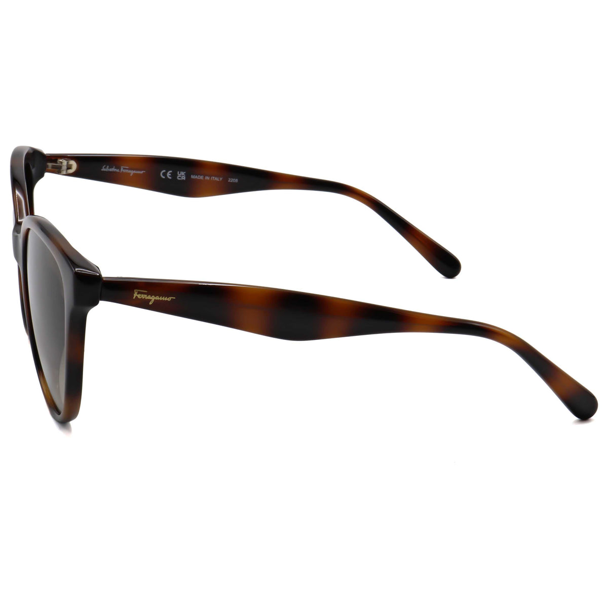 Ferragamo Women's 54mm Havana Sunglasses SF1073S-240