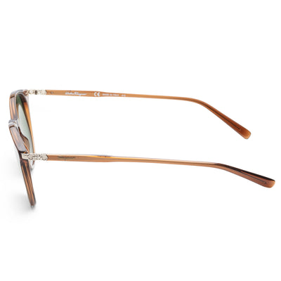 Ferragamo Women's 53mm Brown Sunglasses SF911S-210