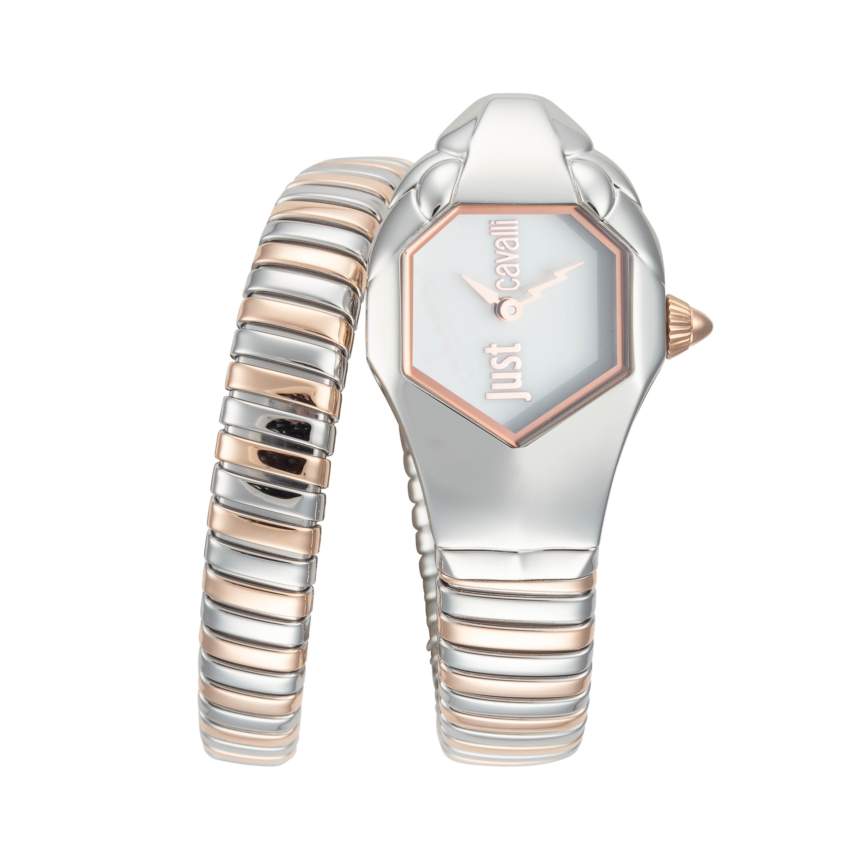 Just Cavalli Women's Signature Snake 22mm Quartz Watch JC1L001M0045