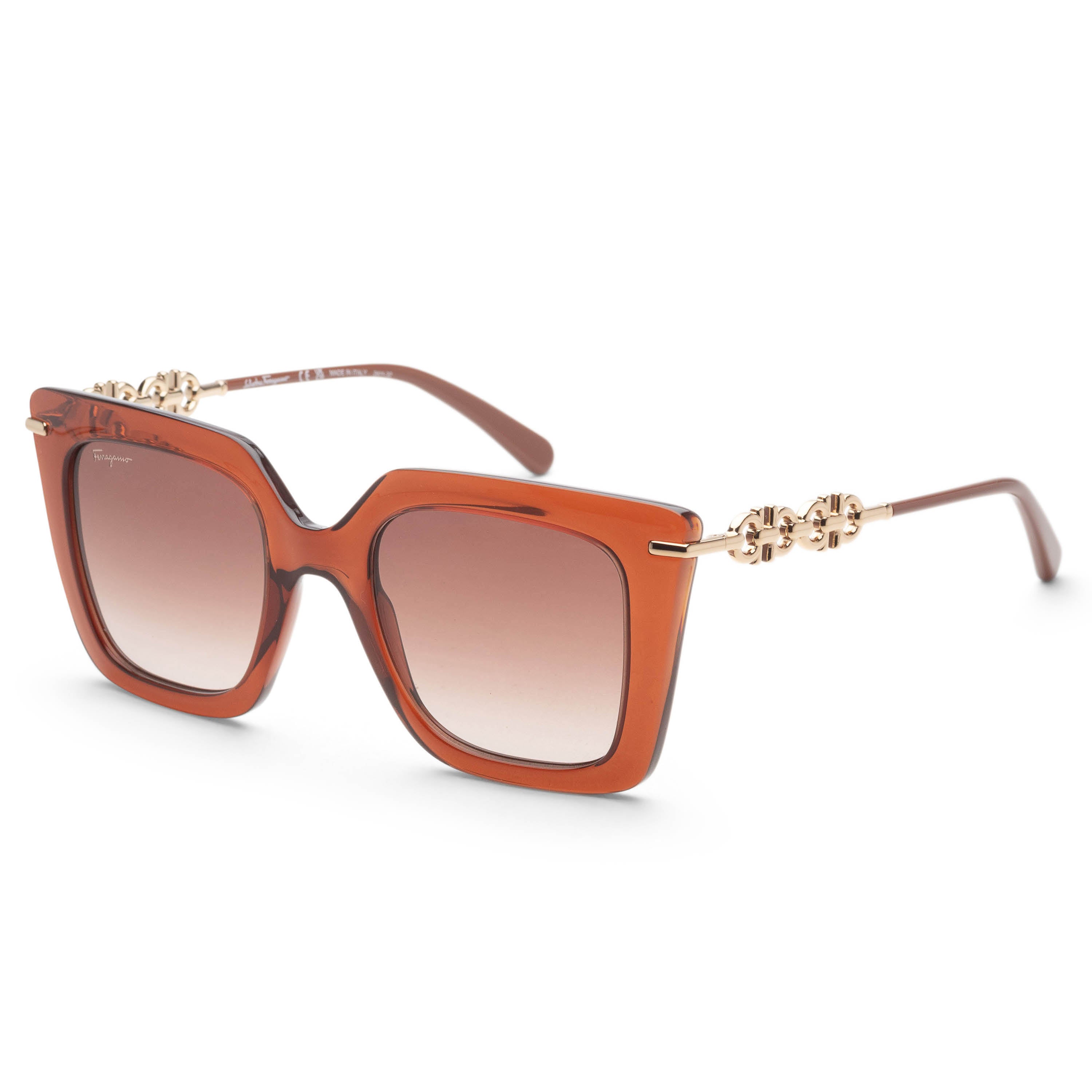 Ferragamo Women's Fashion 51mm Transparent Brown Sunglasses SF1041S-232-51
