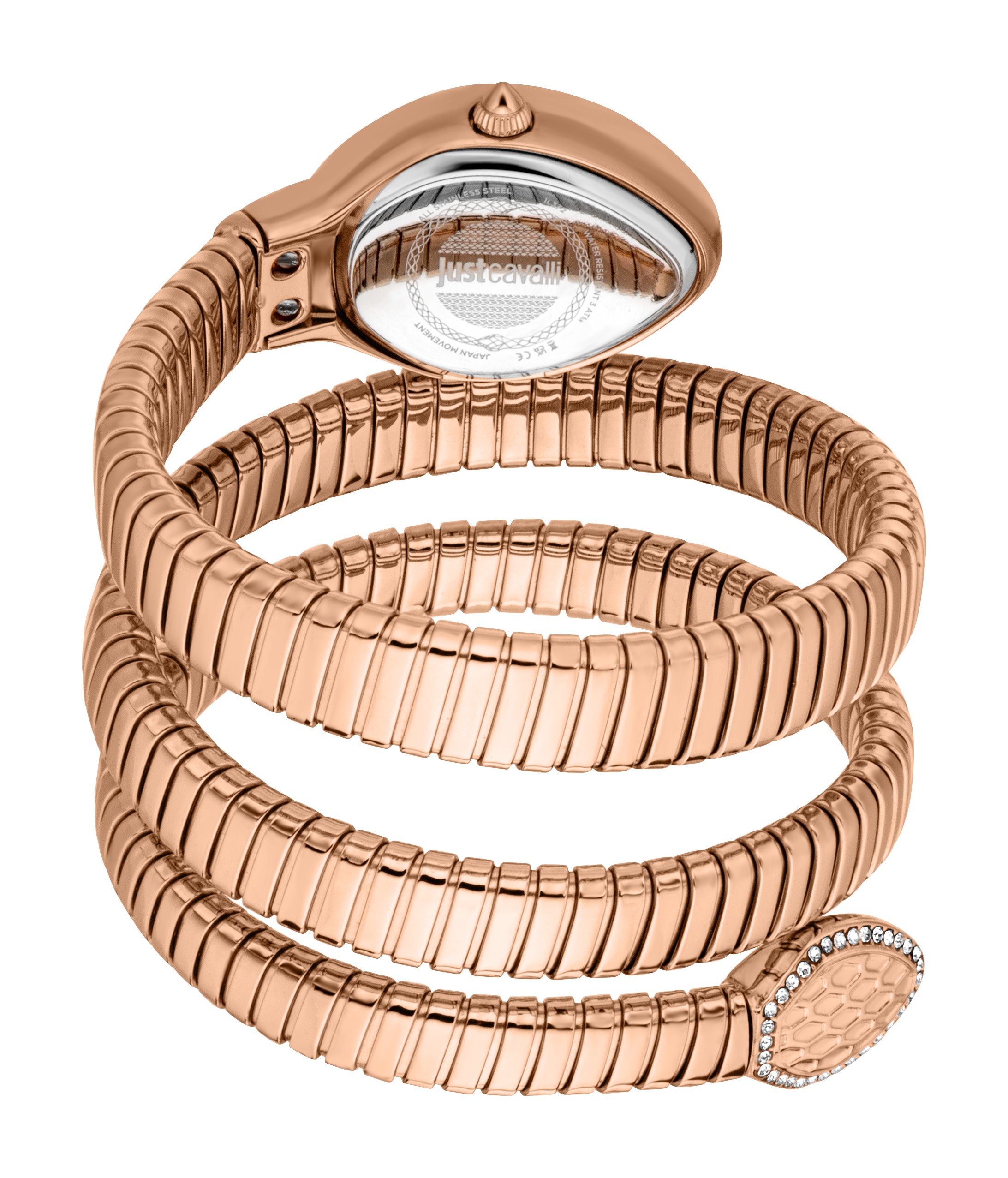 Just Cavalli Women's Carezza 22mm Silver Quartz Watch JC1L372M0045