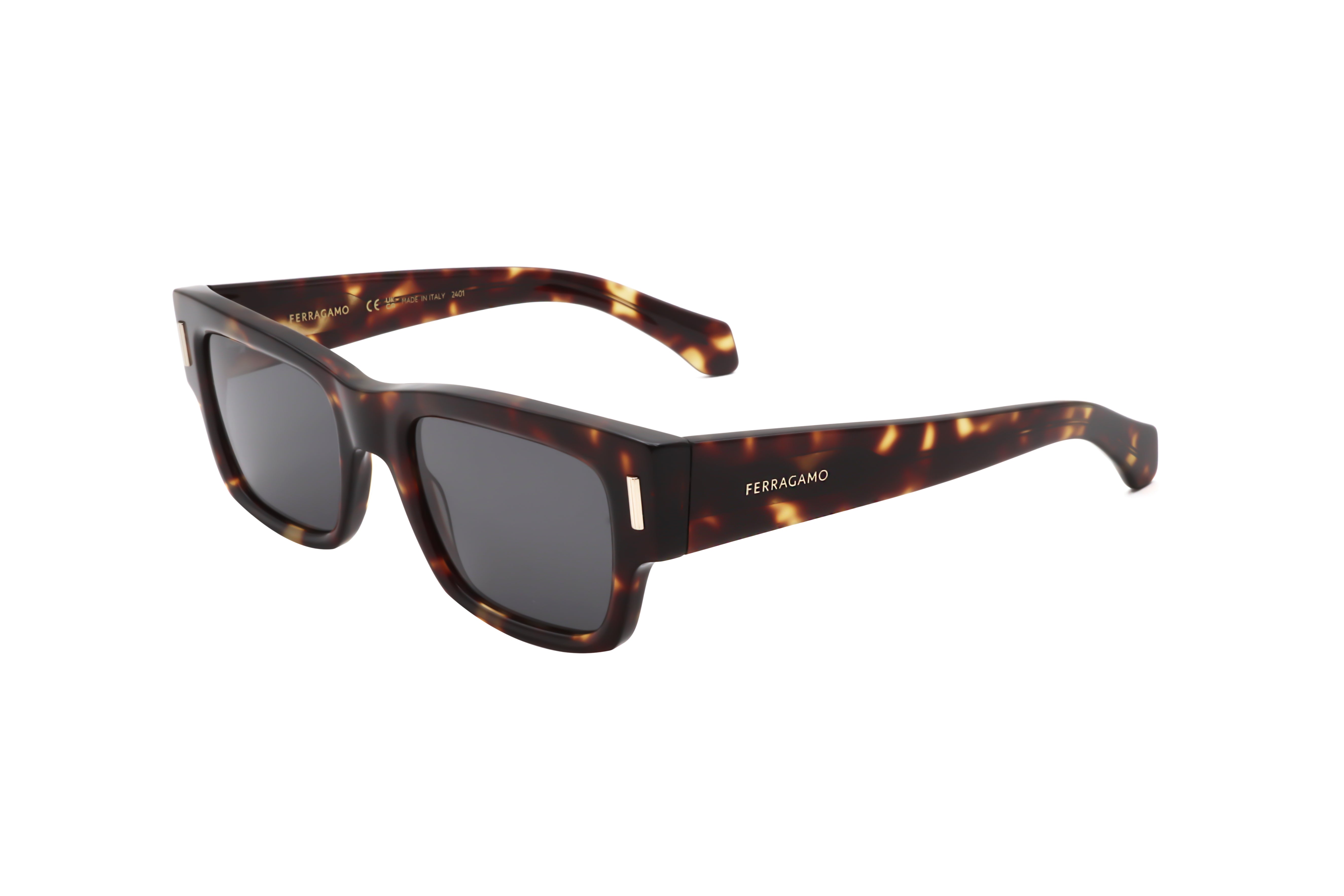 Ferragamo Men's 53mm Dark Tortoise Sunglasses SF2011S-242-53