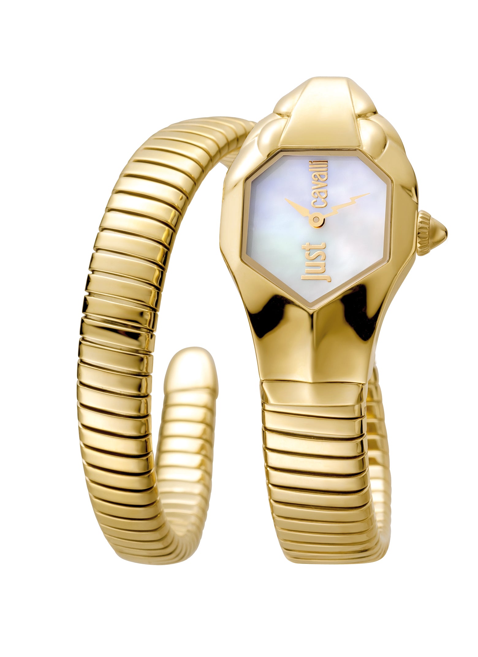 Just Cavalli Women's Snake 22mm Quartz Watch JC1L001M0025