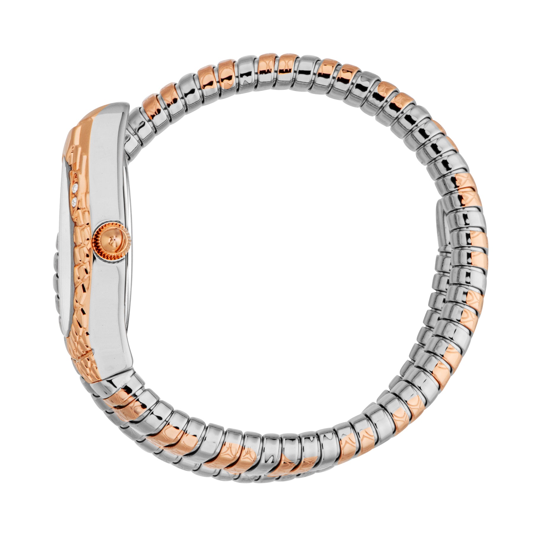 Just Cavalli Women's Snake 20mm Quartz Watch JC1L373M1065