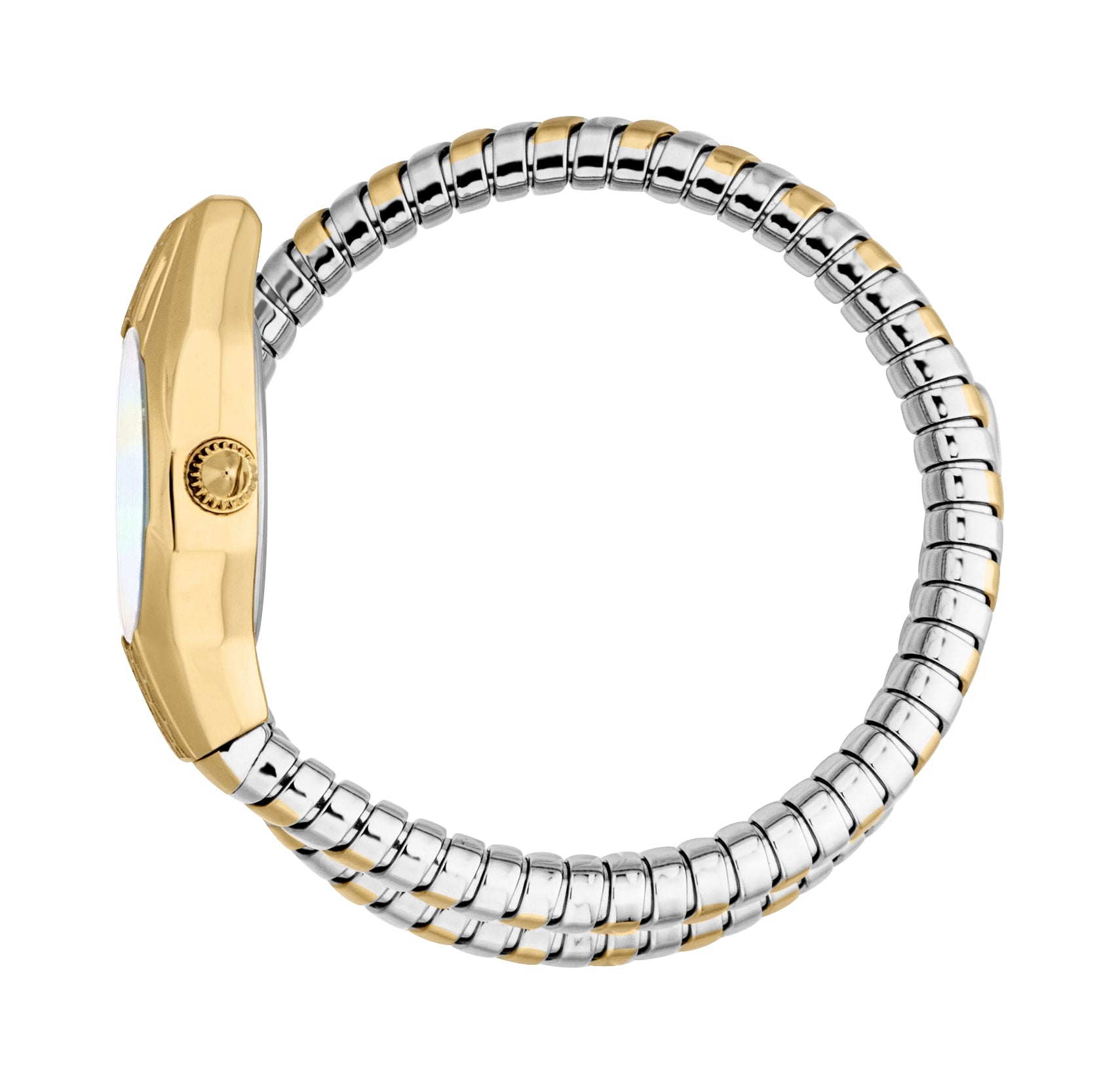 Just Cavalli Women's Snake 22mm Quartz Watch JC1L375M0055