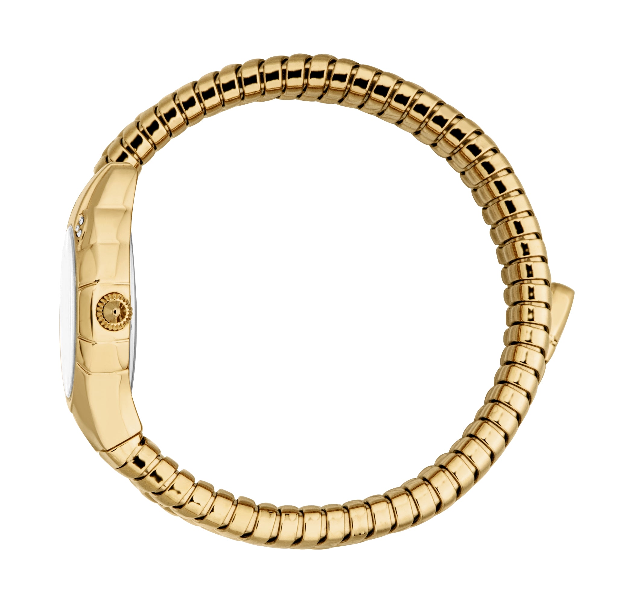 Just Cavalli Women's Snake 22.5mm Quartz Watch JC1L393M0025