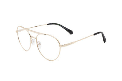 Polaroid Unisex 55 mm Gold Eyeglasses PLDD513-J5G-55