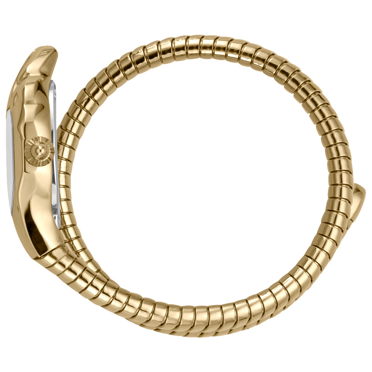 שעון Just Cavalli מסדרת Snake לנשים 22 מ״מ קוורץ