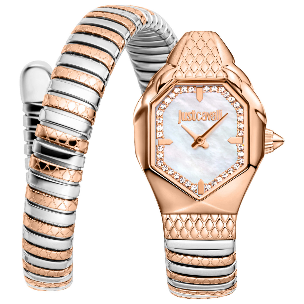 Just Cavalli Women's Snake 22mm Quartz Watch JC1L369M0075