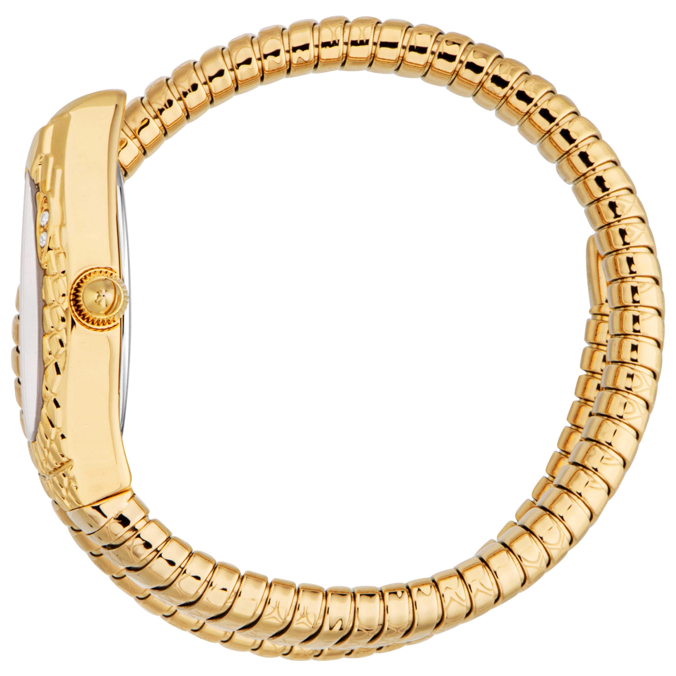 שעון לאישה Vetra של Just Cavalli, קוורץ, 20 מ״מ