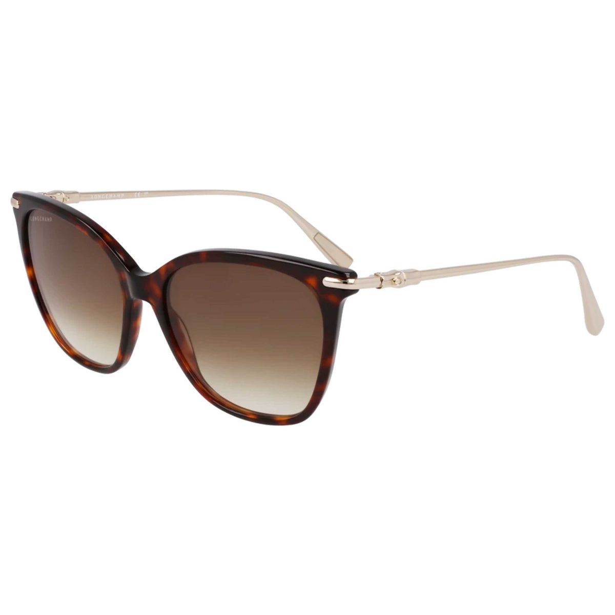 Longchamp Women's 55 mm Dark Havana Sunglasses LO757SN-242-55