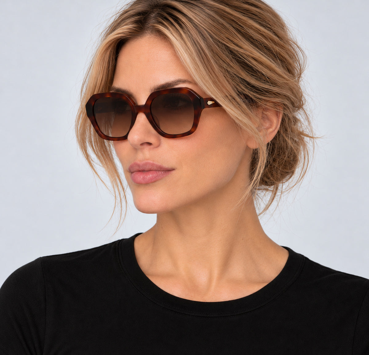 Rag & Bone Women's 53 mm Havana Brown Sunglasses RNB1063-S-9N4-53