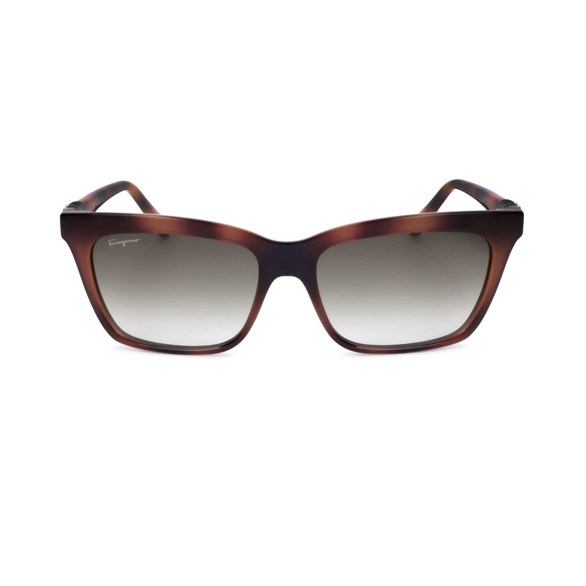 Ferragamo Women's 55mm Havana Sunglasses SF1027S-214