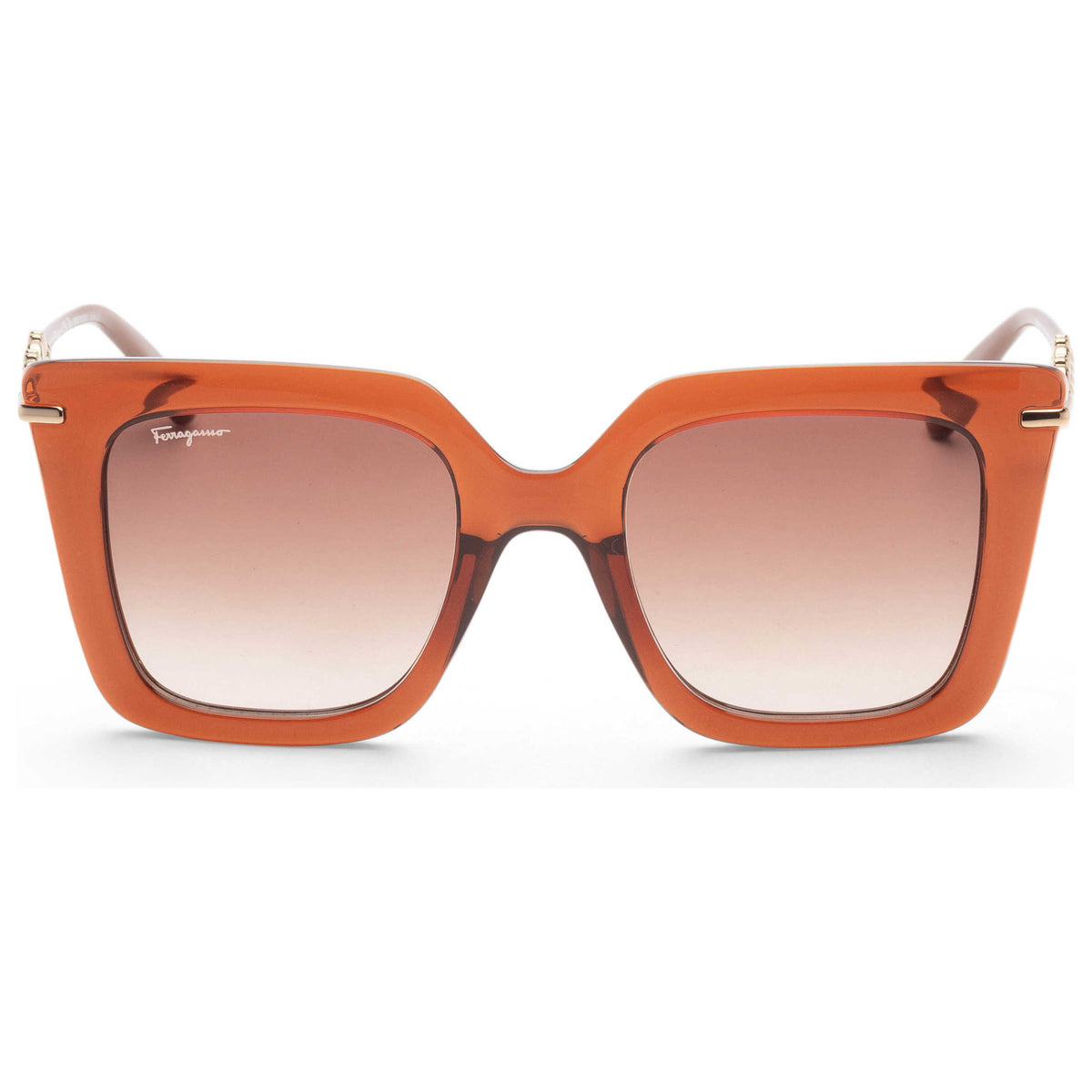 Ferragamo Women's Fashion 51mm Transparent Brown Sunglasses SF1041S-232-51