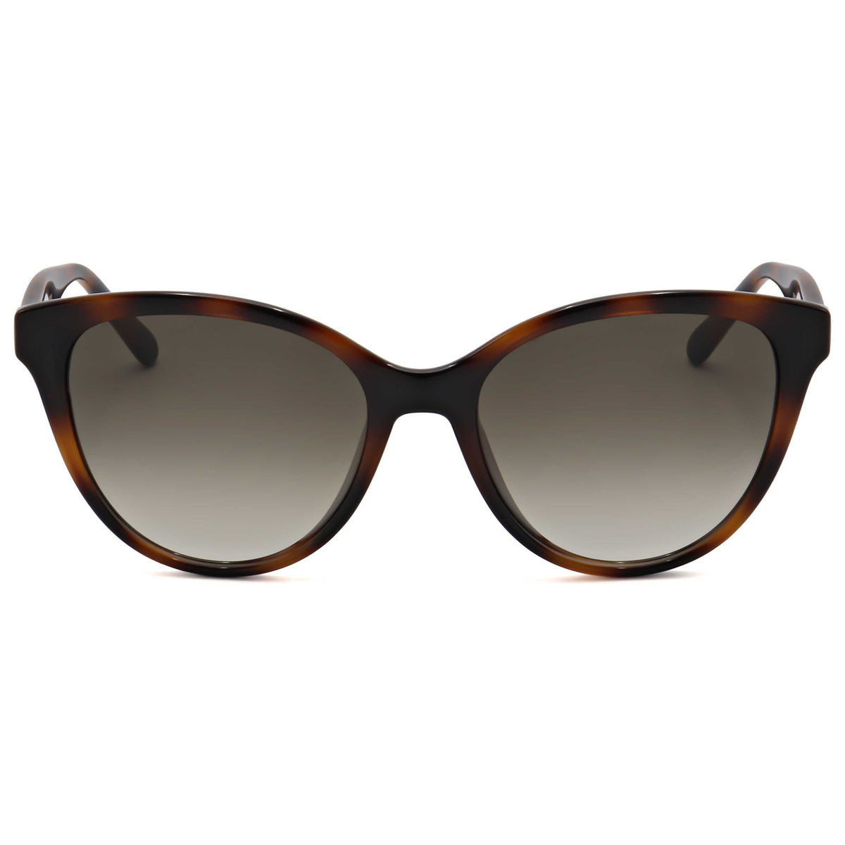 Ferragamo Women's 54mm Havana Sunglasses SF1073S-240